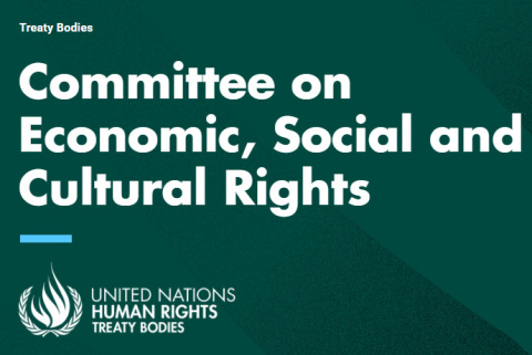 Committee on Economic, Social and Cultural Rights