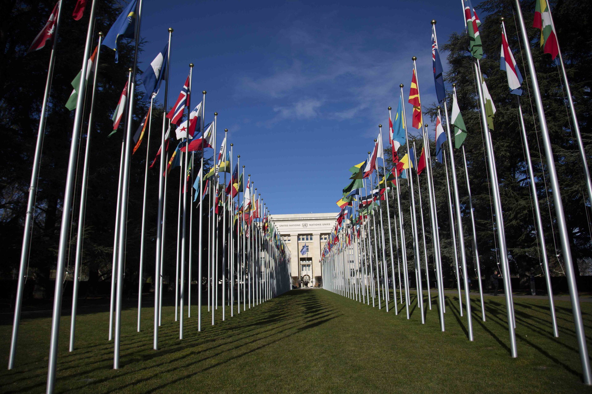 Alley of Flags