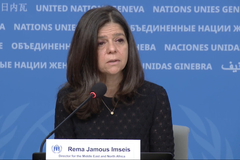 Play video for UN Geneva Press Briefing: WHO, FAO, WOAH, UNHCR, WMO - 17.12.24