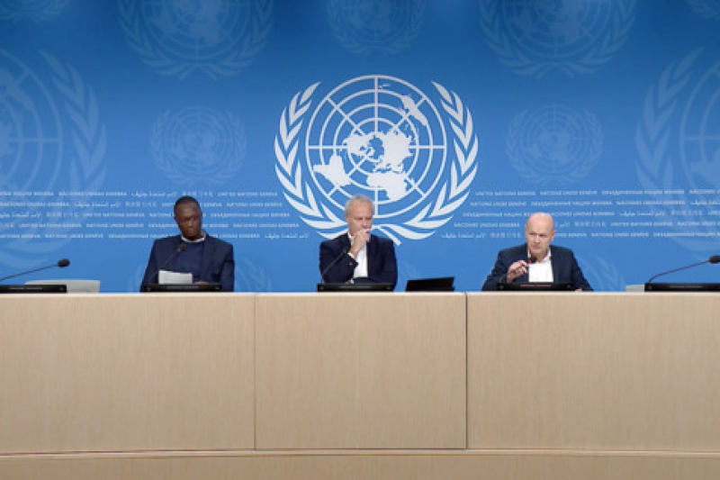 Play video for Geneva Press Briefing: OHCHR, WHO, FAO, UNICEF, OCHA - 29.10.24