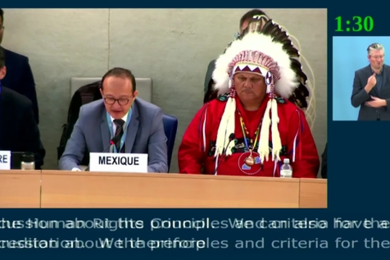 Play video for Second Intersessional Meeting on the Participation of Indigenous Peoples - Human Rights Council