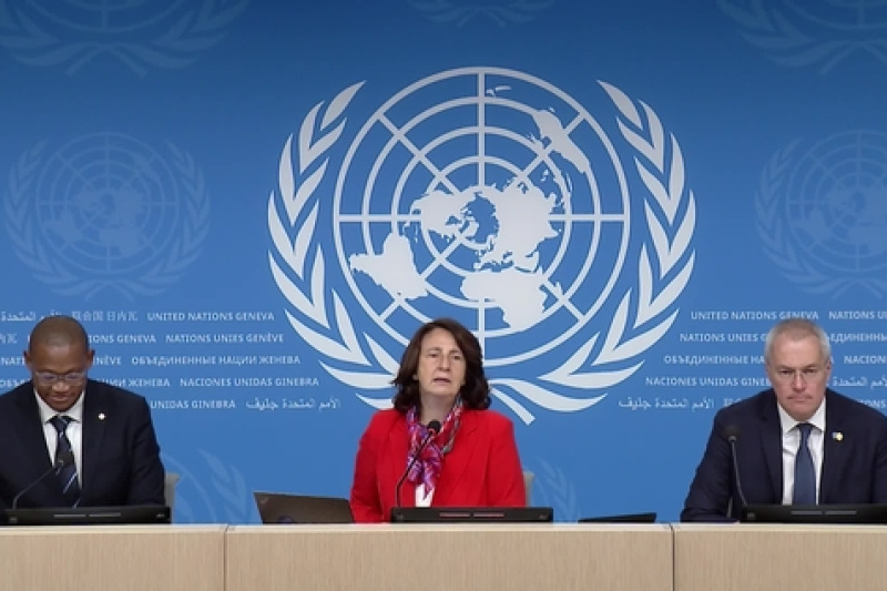 Play video for Geneva Press Briefing: UNECE, UNDP, UNHCR, IFRC, OHCHR, FAO, WFP, ICRC - 15.10.24