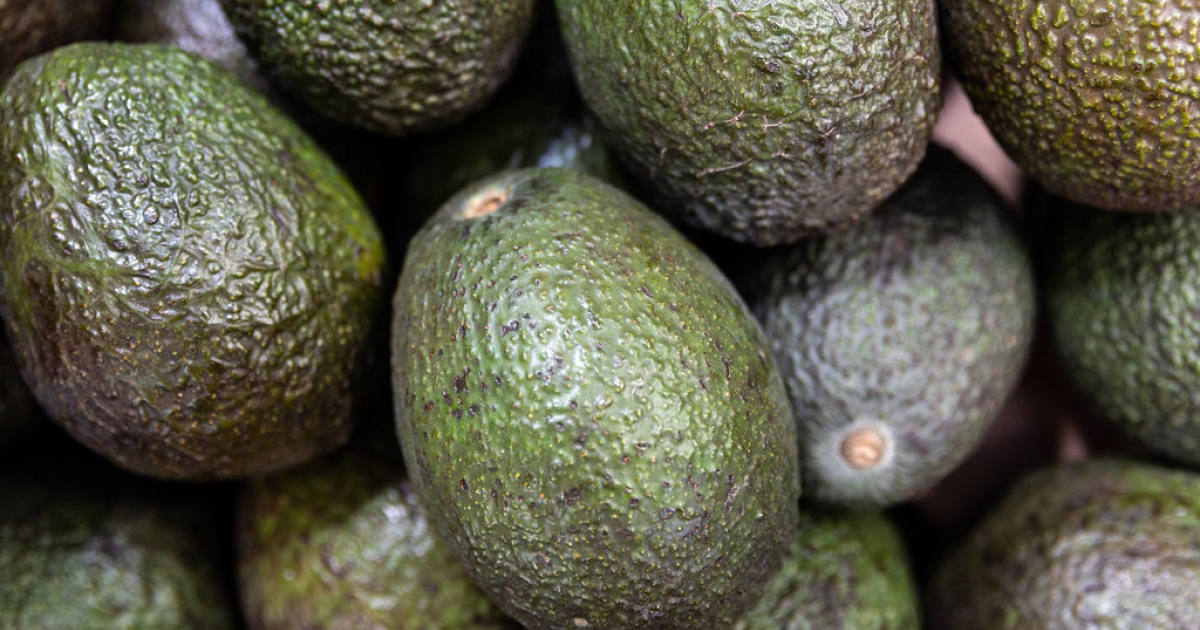 Food Heroes: Ethiopian avocado farmer’s ‘transformational’ crop | The ...