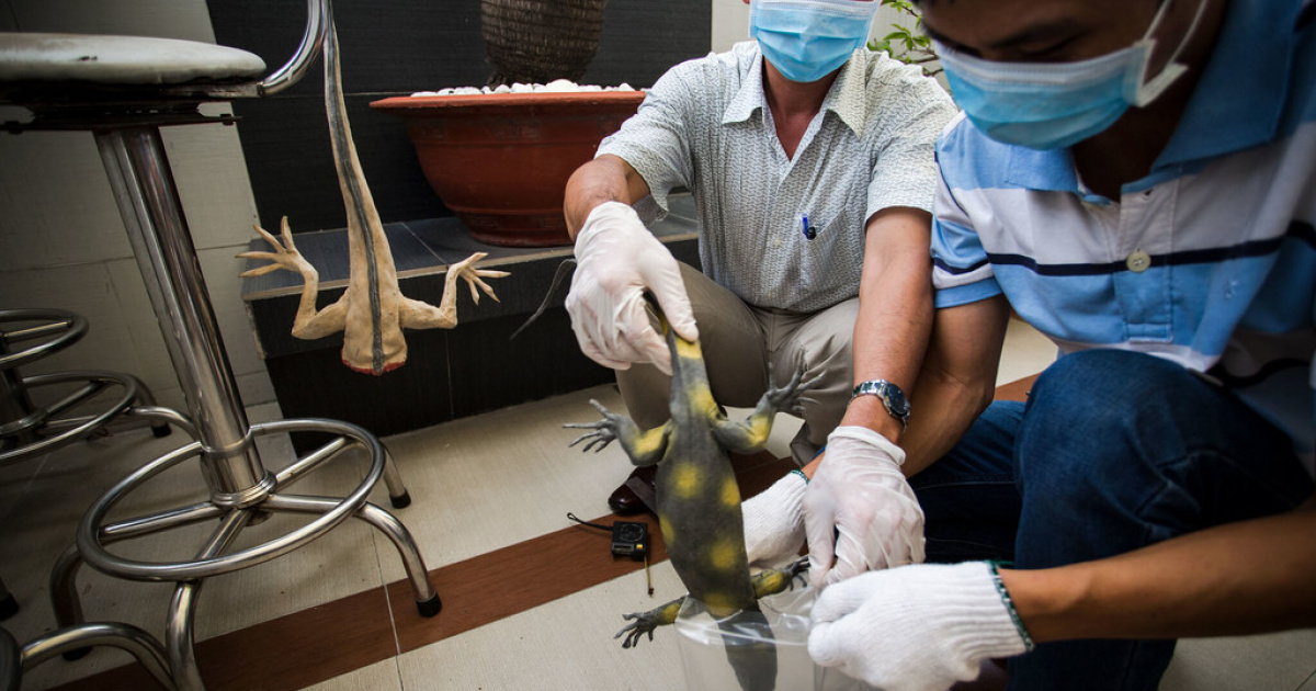 Forensic Lab Aids Crack Down On Illegal Wildlife Trade In Viet Nam