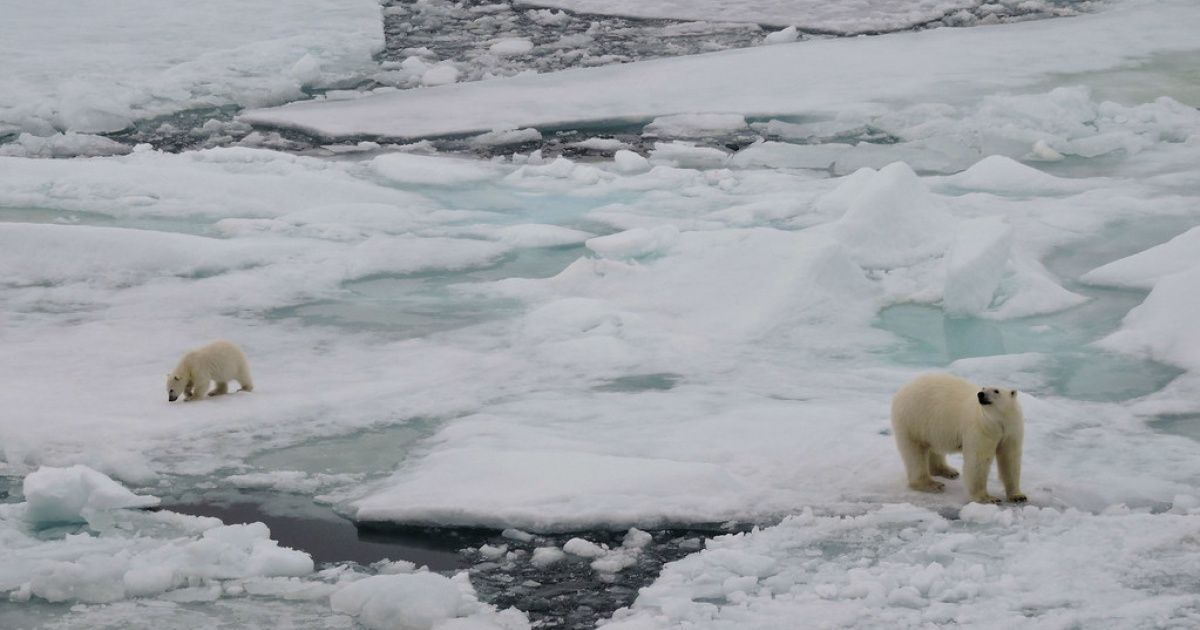 Climate change: For 25th year in a row, Greenland ice sheet shrinks ...