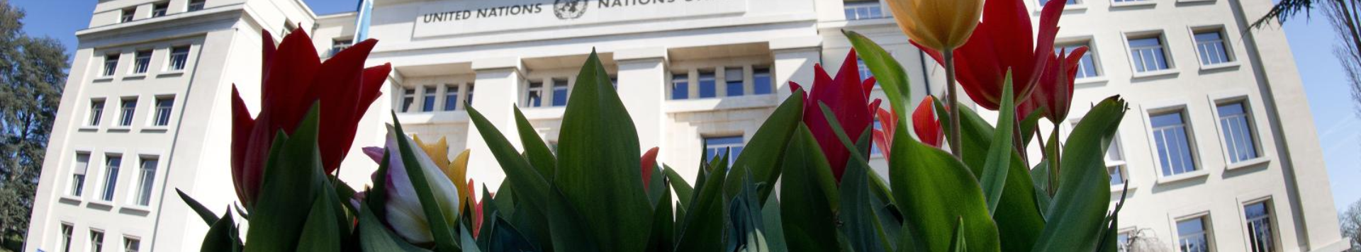 Palais des Nations_Spring3