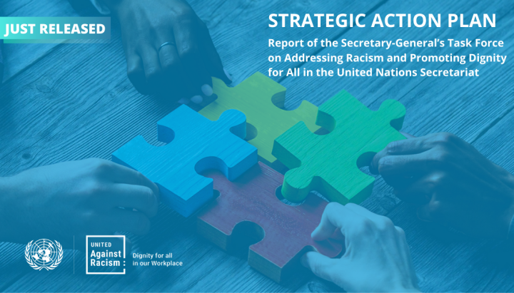 Strategic Action Plan on Addressing Racism and Promoting Dignity for all in the United Nations Secretariat